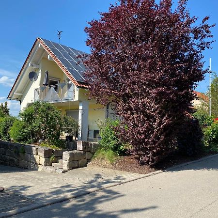 Ferienwohnung Messmer Mit Terrasse Heiligenborn Exteriér fotografie